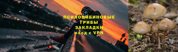 индика Белоозёрский