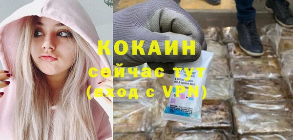 индика Белоозёрский