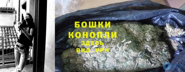 индика Белоозёрский